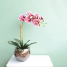 Arranjo De Orquídea Artificial Rosa No Vaso Vidro M | Formosi